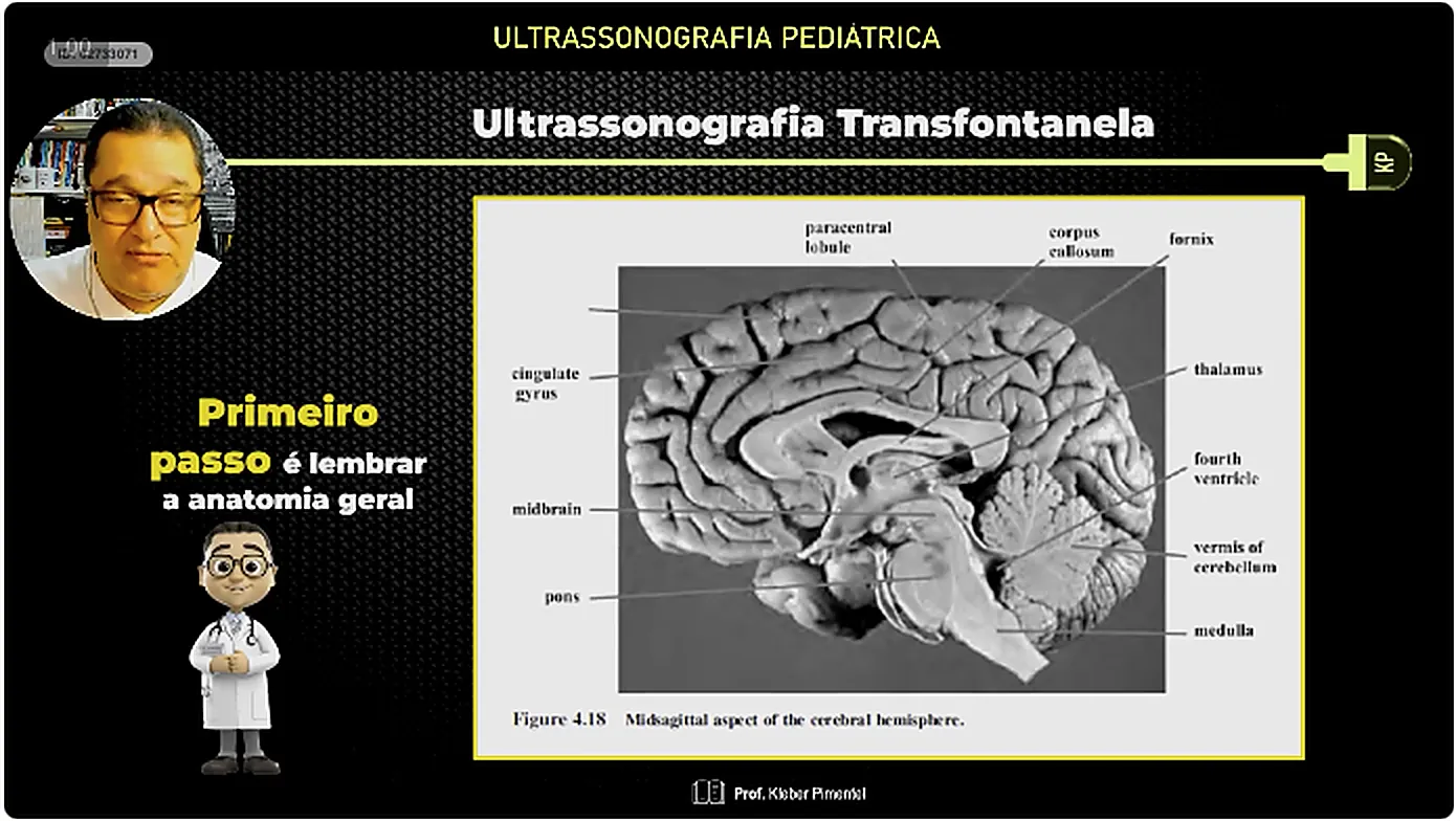 Slide da aula 1 sobre anatomia geral do encefalo